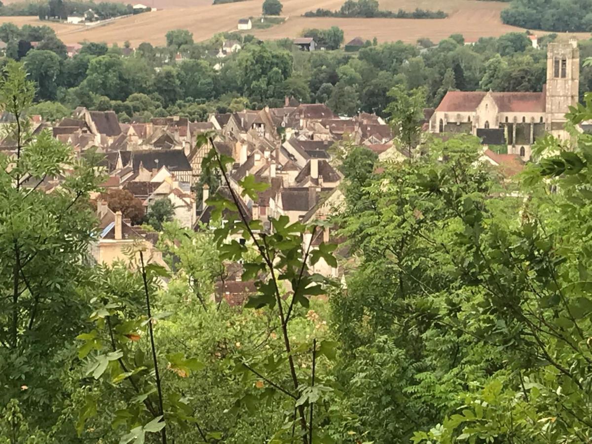 Villa Voyage… Noyers-sur-Serein Exterior foto